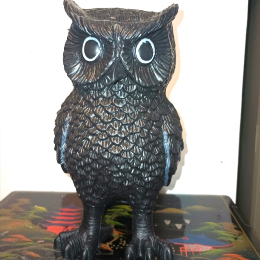 Black Owl plastic